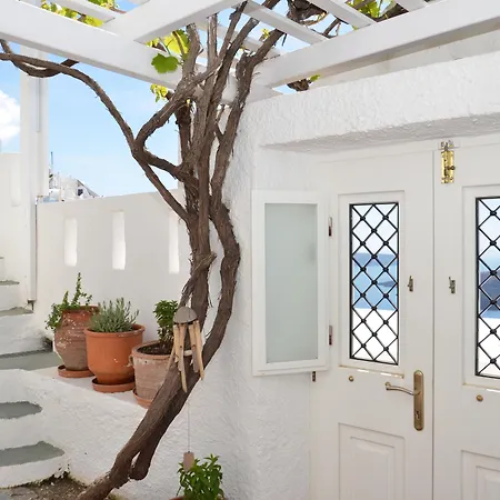 Fegari 피로스테파니